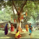 Ashwath tree