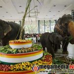 Dharmasthala-Elephant