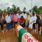 Lava-kusha-kambala