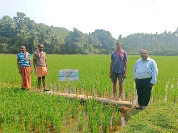 ಭತ್ತದ ಕೃಷಿ ತಾಕುಗಳಿಗೆ ವಿಜ್ಞಾನಿಗಳ ಬೇಟಿ