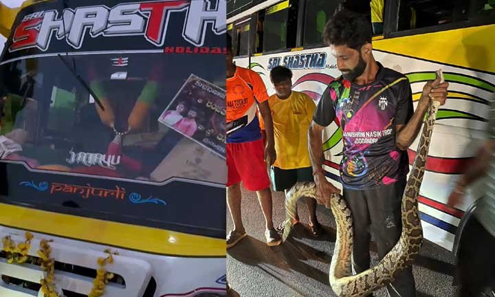 snake-in-bus