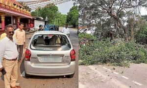 Havanje-forest-officer