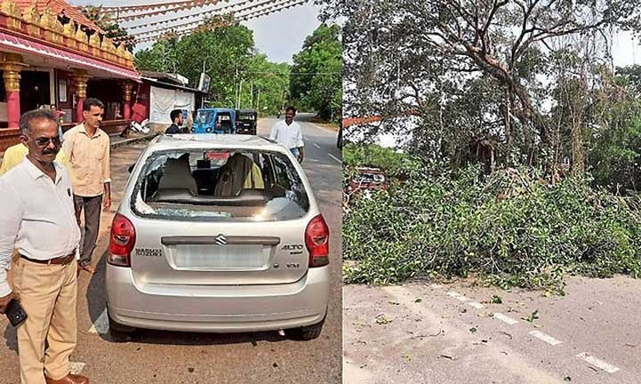 Havanje-forest-officer
