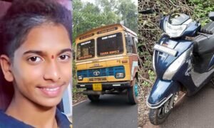 Krishna-Moolya