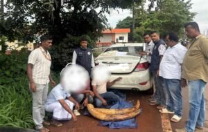 Ivory-Smuggling