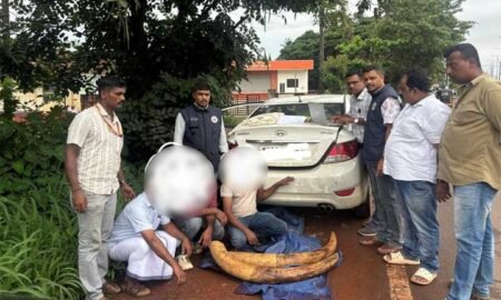 Ivory-Smuggling