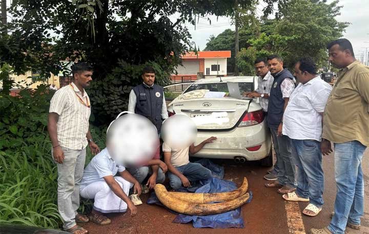 Ivory-Smuggling