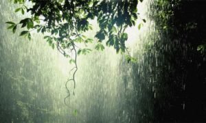 Rain-News