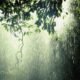 Rain-News