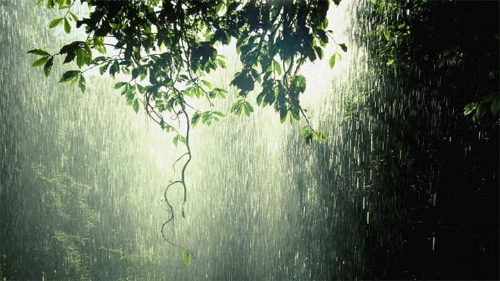Rain-News