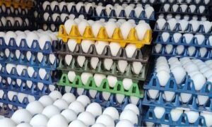 egg-rate