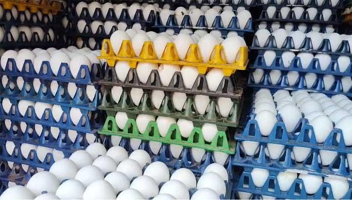 egg-rate