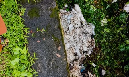 Animal-Waste