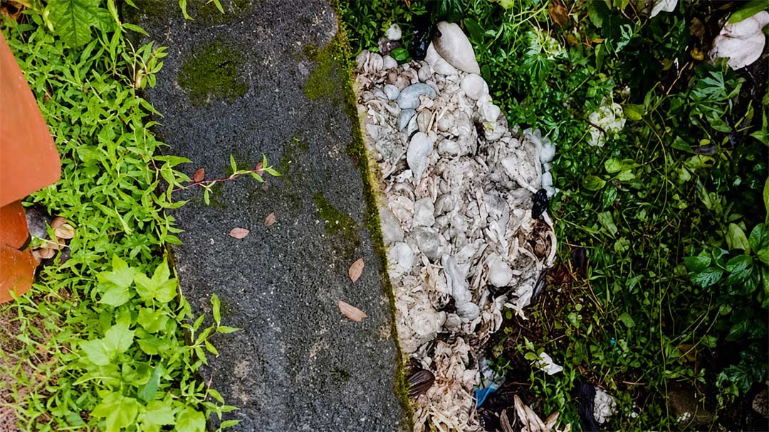 Animal-Waste