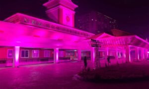 Pink-DC-office
