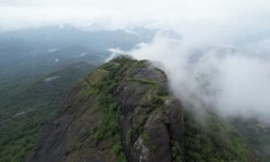 Gadaikallu