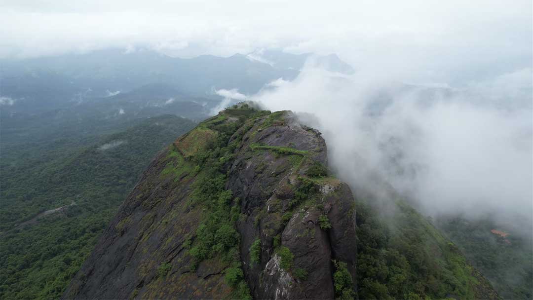 Gadaikallu
