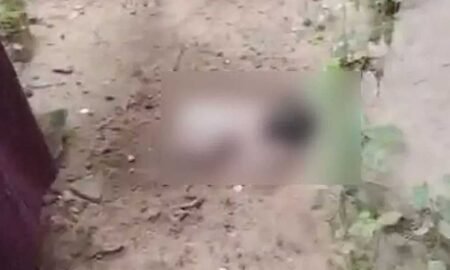 new-born--baby-found