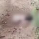 new-born--baby-found