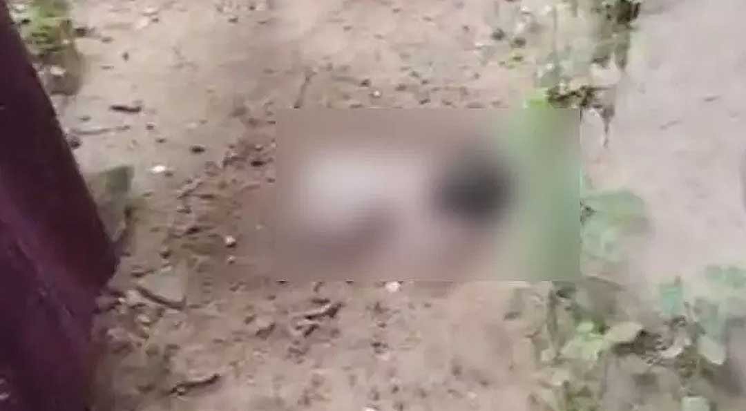 new-born--baby-found
