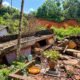 Manjanady-Lamd slide